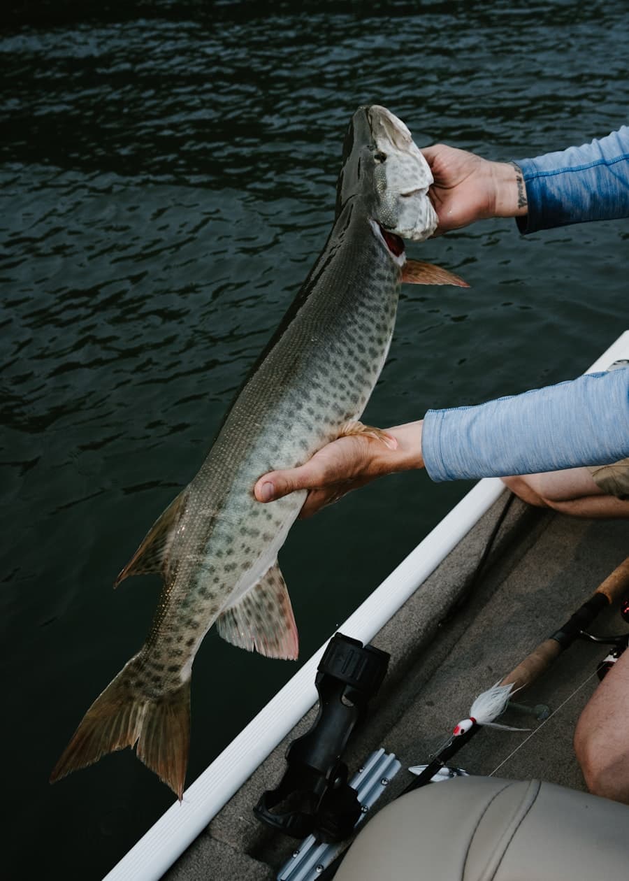 Full-Day Nearshore